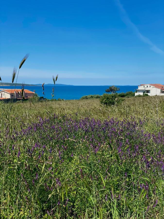Villa Cvita