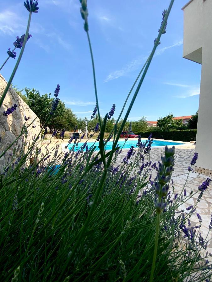 Cvita Villa