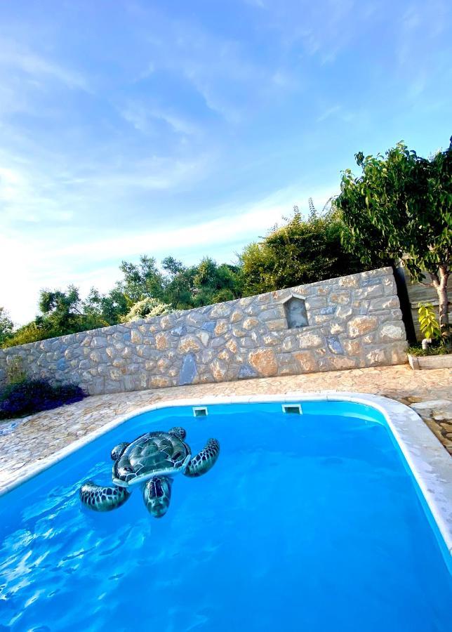 Cvita Villa